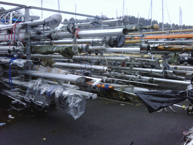 [Immagine: 201111270544_IMG00007-20111101-1131.gif]